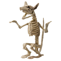 Skelett Rtta