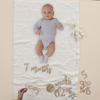 Milestone blanket Baby