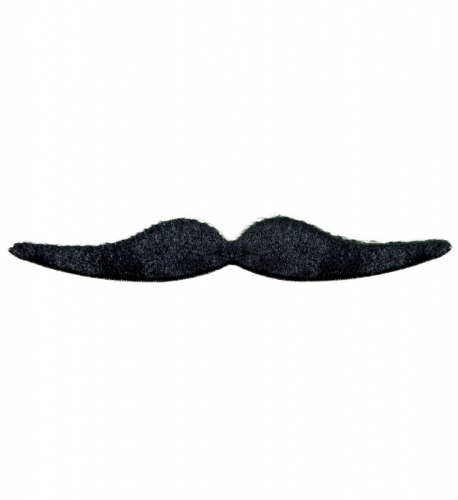 Mustasch i gruppen Maskerad / Skgg & mustasch  / Mustascher hos PARTAJSHOP AB (0830J-A371)