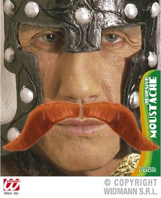 Mustasch viking i gruppen Maskerad / Skgg & mustasch  / Mustascher hos PARTAJSHOP AB (0837Q-A144)