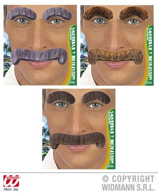 Mustasch & gonbryn, gentleman i gruppen Maskerad / Skgg & mustasch  / Mustascher hos PARTAJSHOP AB (0853H-K261r)