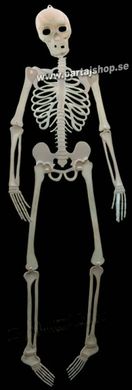 Självlysande skelett 92 cm i gruppen Högtider / Halloween / Halloweendekoration hos PARTAJSHOP AB (201411-H261)