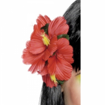 Hrblomma hawaii rd  i gruppen Maskerad / Maskeradtillbehr / Kronor, diadem & tiaror hos PARTAJSHOP AB (21737)