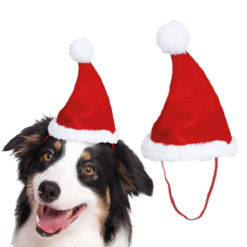 Tomteluva för djur i gruppen Högtider / Jul / Juldiadem hos PARTAJSHOP AB (41067)