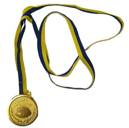 Medalj årets student i gruppen Högtider / Studenten / Studentnallar hos PARTAJSHOP AB (69546)