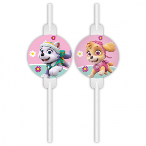 Sugrör Paw patrol i gruppen Festartiklar / Barnkalas / Paw Patrol hos PARTAJSHOP AB (94108)