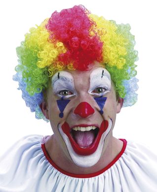 Clown peruk i gruppen Maskerad / Maskeradteman / Cirkustema hos PARTAJSHOP AB (94170-A241)