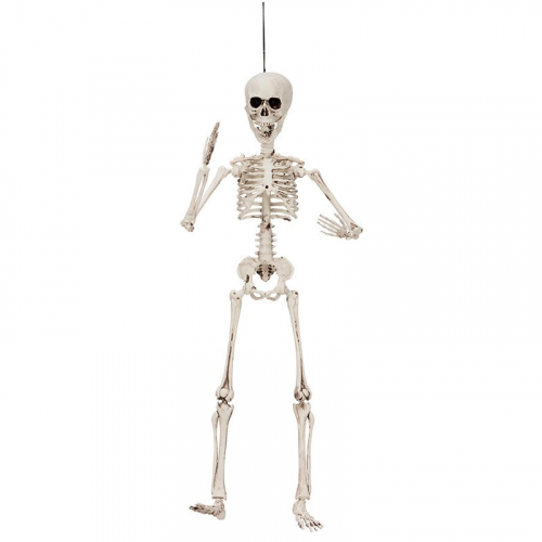 Skelett Poserande 50cm i gruppen Hgtider / Halloween / Halloweendekoration hos PARTAJSHOP AB (96044)