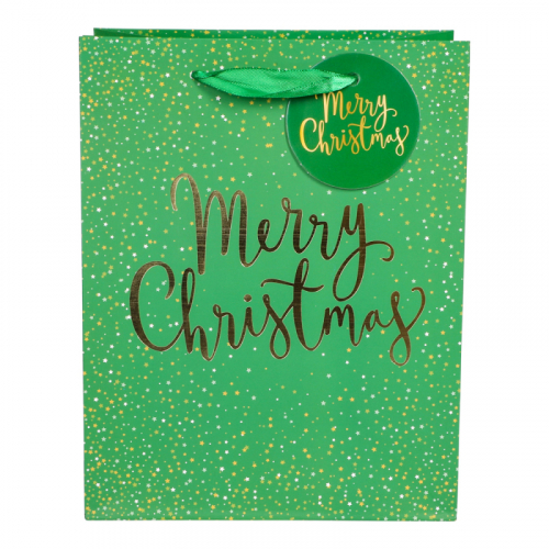 Presentpåse Christmas Grön i gruppen Festartiklar / Presentinslagning / Presentpåsar hos PARTAJSHOP AB (96261)