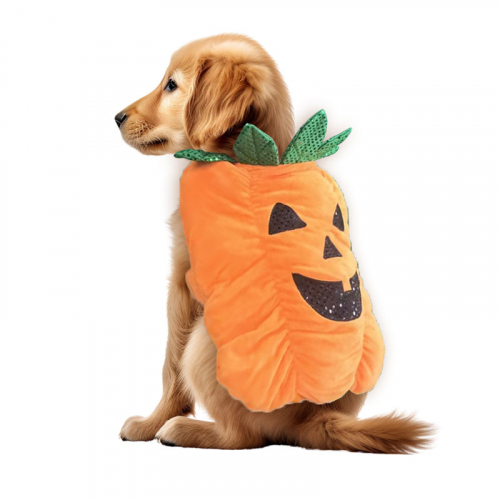 Hundens halloweenkostym i gruppen Hgtider / Halloween / Halloweendrkter hos PARTAJSHOP AB (96572)