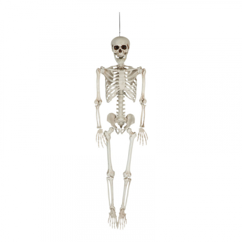 Skelett hängande 153 cm i gruppen Maskerad / Dekor & rekvisita / Skelett & kroppsdelar hos PARTAJSHOP AB (97852)
