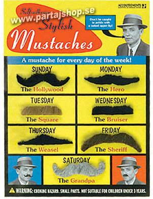 Mustascher, Stylish i gruppen Maskerad / Skgg & mustasch  / Mustascher hos PARTAJSHOP AB (A10484-G312)