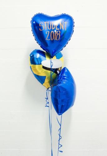 Ballongbukett nr. 6 i gruppen Festartiklar / Ballonger / Uppblsta Heliumballonger  hos PARTAJSHOP AB (ballongbukett_student_6)