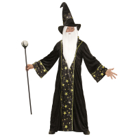 Trollkarl Wizard