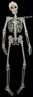 Sjlvlysande skelett 92 cm
