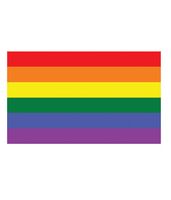 Pride flagga 90x150