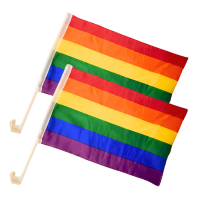 Bilflaggor Pride 2-pack