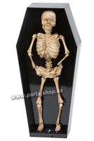 Dansande skelett i kista