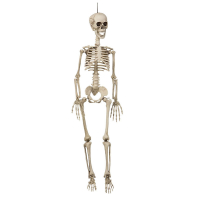 Skelett hngande 90 cm