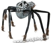 Spindel med läskig dödskallekropp