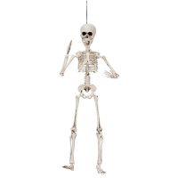 Skelett Poserande 50cm