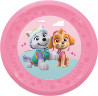 Återanvändbar tallrik paw patrol