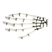 Hrclips Skeletthand