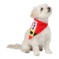 Hundscarf Santa