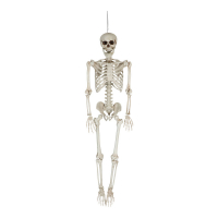 Skelett hängande 153 cm