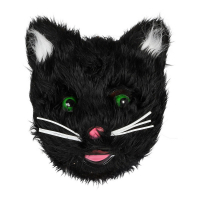 Kattmask Läskig