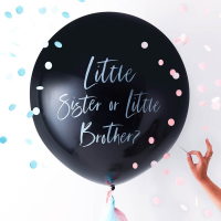 Gender reveal - sister or brother? 