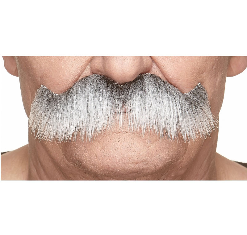 Mustasch Show Grå