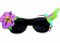 Hawaii solglasögon Hawaii solglasögon