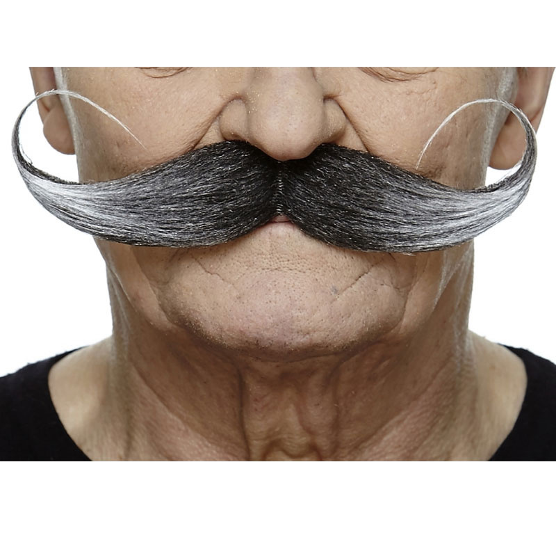Stor mustasch Gråmelerad