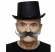 Stor mustasch Gråmelerad Stor mustasch Gråmelerad