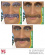 Mustasch & ögonbryn, gentleman Mustasch & ögonbryn, gentleman