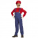 Super Mario Barn