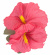 H�rblomma hawaii rosa