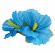 Hårblomma hawaii Blå