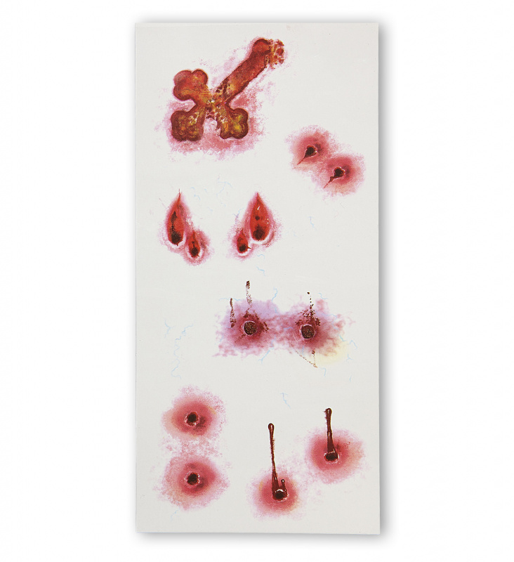 Tatueringar Vampyrbett 