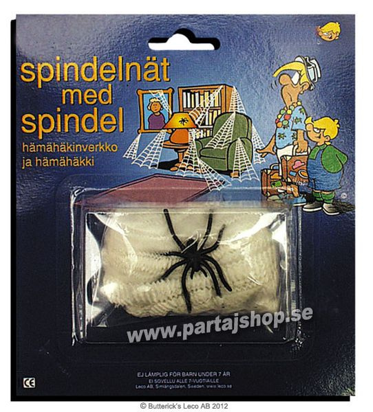 Spindelnät med spindel