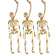 Skelett med snaror 3-pack Skelett med snaror 3-pack