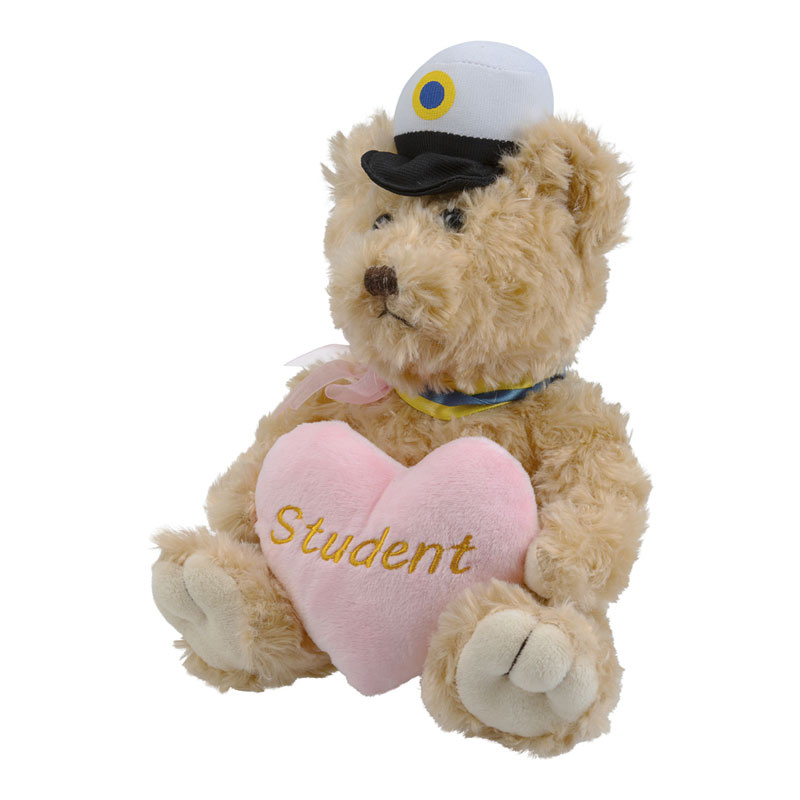 Student Nalle rosa hjärta