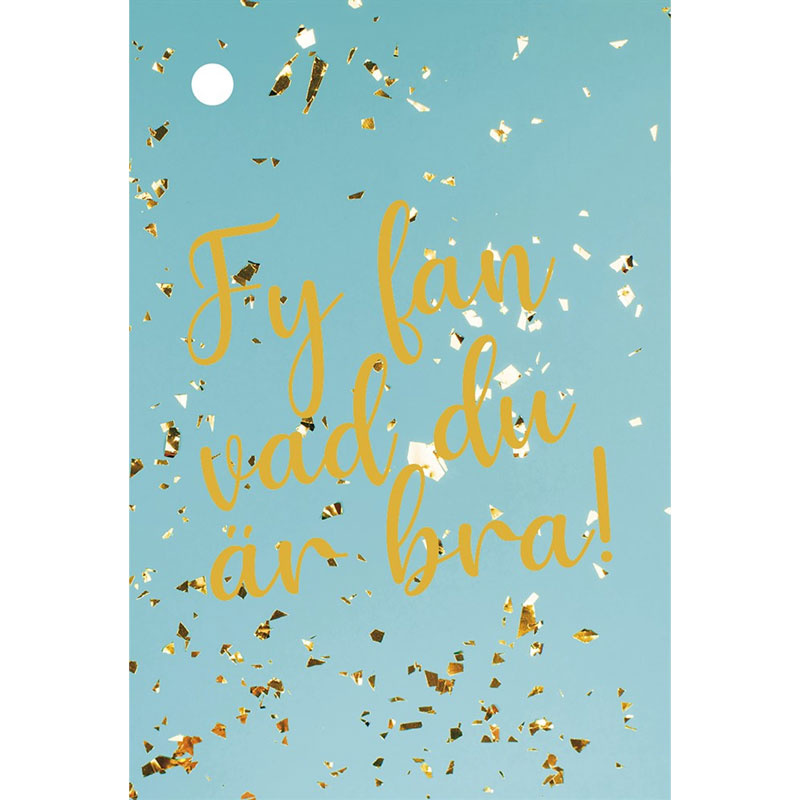 Studentkort 10/17 cm fy fan