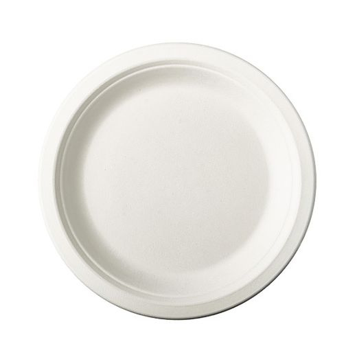 Assiett av sockerrör Vit