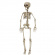 Skelett 76 cm Skelett 76 cm