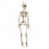 Skelett hängande 90 cm Skelett hängande 90 cm