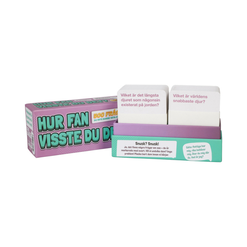 Spel Hur Fan visste du det? 