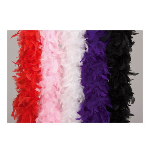 Boa Fjäderboa budget