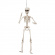 Skelett Poserande 50cm Skelett Poserande 50cm